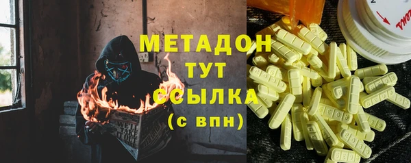 прущие грибы Алзамай
